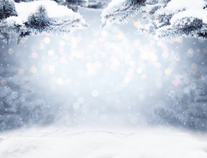 brightfotofon.com