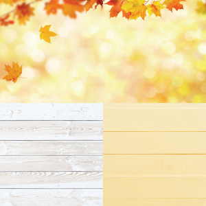 brightfotofon.com
