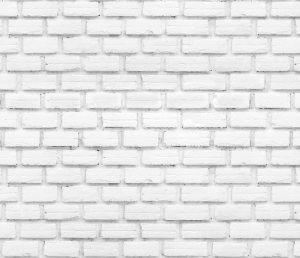 brightfotofon.com