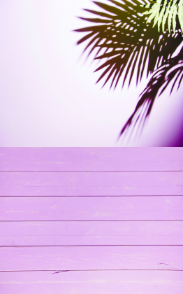 brightfotofon.com