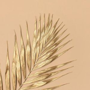 brightfotofon.com