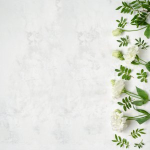 brightfotofon.com